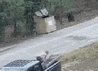 [Εικονίδιο]